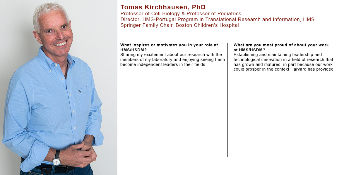 Tomas Kirchhausen | Office for Culture and Community Engagement