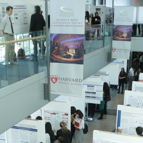 HMS banners hang from both floors of the Veritas building. 