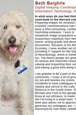 Beth Beighlie is kneeling on the ground with her dog Dayton beside her. He is a large white curly-haired dog who has his own Boston Children's Hospital ID.