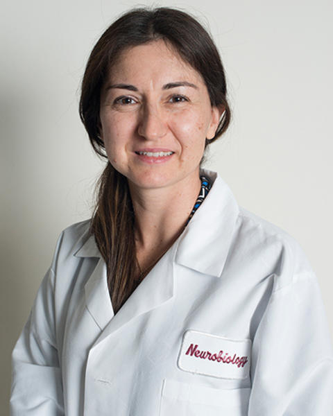 Domenica Karavitaki is wearing a white lab coat with "Neurobiology" embroidered in red on it.