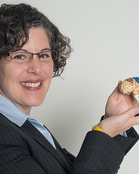 Marisa Silveri is holding a miniature neuroanatomical model of the human brain. 